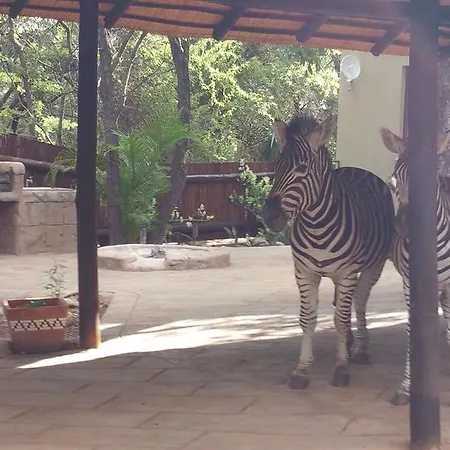 Villa Marloth Kruger Little Manor Marloth Park Exterior foto