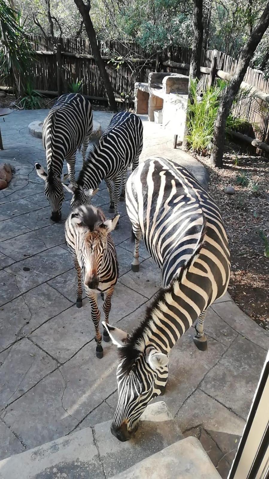 Marloth Kruger Little Manor Ferienhaus *