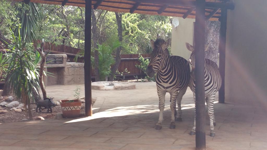 Ferienhaus Marloth Kruger Little Manor Marloth Park